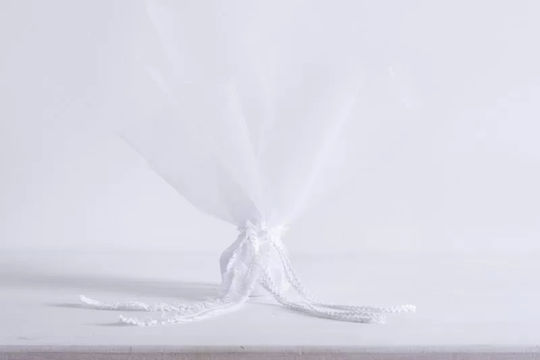 Beauty Home Материал за сватбени подаръци 100бр