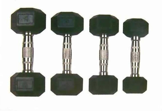 Optimum DB139-1 Βαράκι Εξάγωνο Λαστιχένιο 1 x 1kg