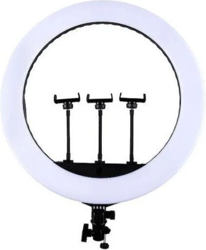 Ring Ring Light
