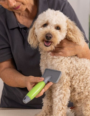 Wahl Professional Perie Mici Câini pentru Îngrijirea Blănii Gri