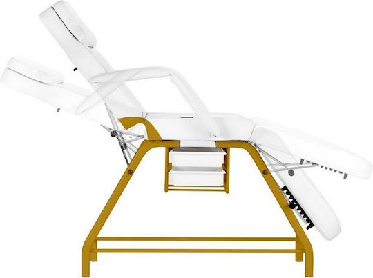 Salon Tech Beauty Chair with Adjustable Height