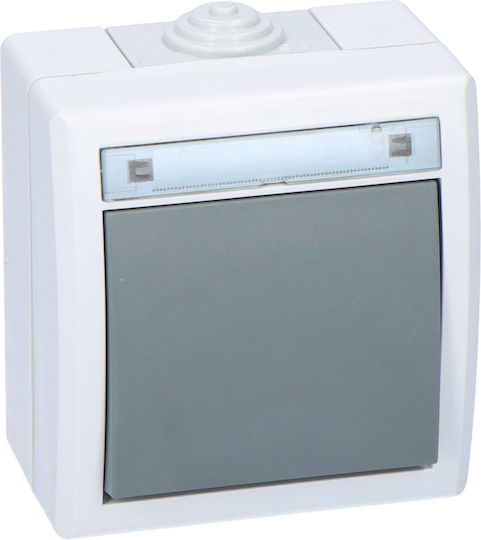 Elektro Plast Waterproof Wall Switch with Gray Frame