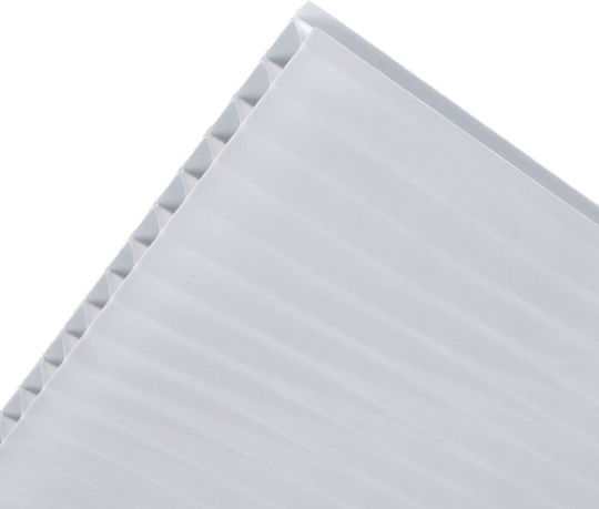 Showood Foaie din policarbonat L2.1xW1m cu Grosime 4mm 211056-1