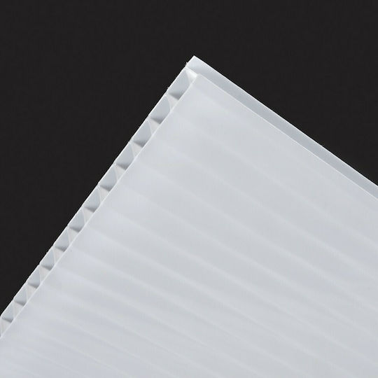 Showood Polycarbonate Sheet M3xW2.1m with Thickness 4mm 211056-3
