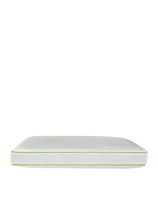 Green Future Perna Pat Latex 40x60cm