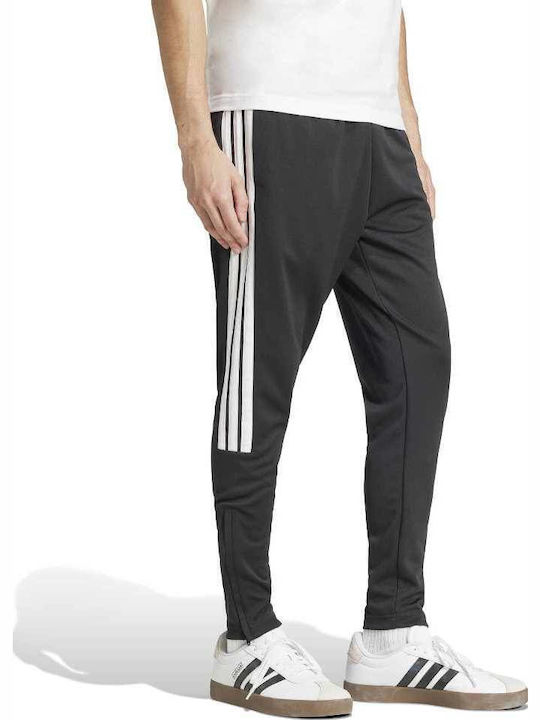 Tiro Tiro Jogginghose Glänzend Black