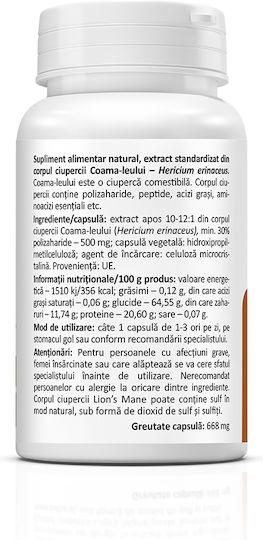 Zenyth Lion's Mane 500mg 100gr 60 capace Natural - Natural