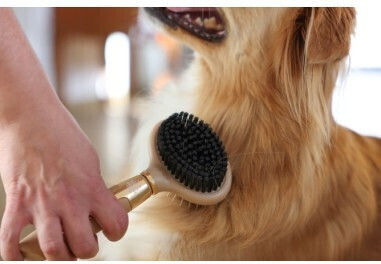 Magic Brush Βούρτσα Σκύλων Διπλής Όψης για Περιποίηση Τριχώματος