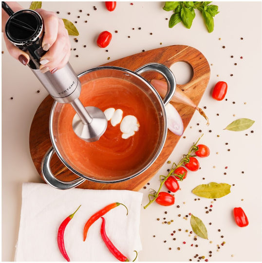 Vertenz Titan 50 Handmixer mit Inox-Stab 1400W Silber