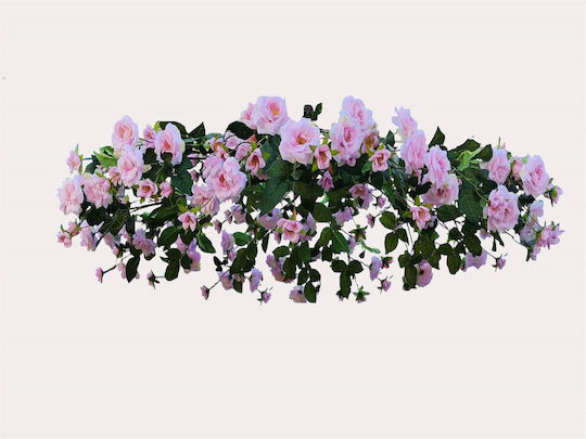 Supergreens Rosa Rosen Krone