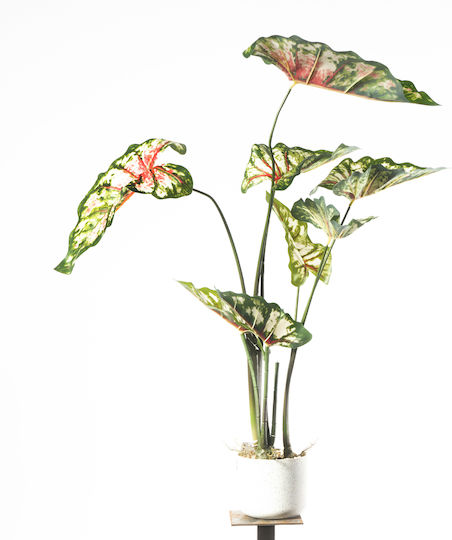 Artificial Plant in Pot Caladium Green 95cm Supergreens