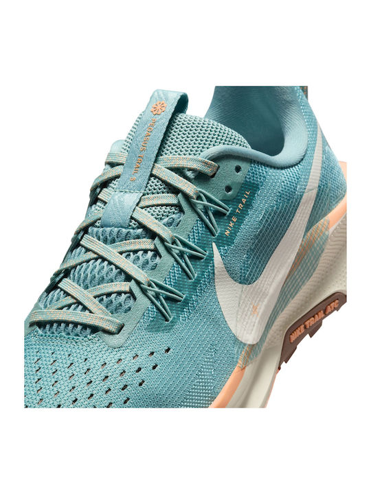 Pegasus Trail 5 Sport Shoes Trail Running Βεραμάν