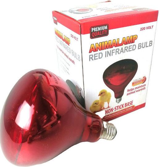 Animalamp Infrared Heating Lamp For Chickens E27 220 V