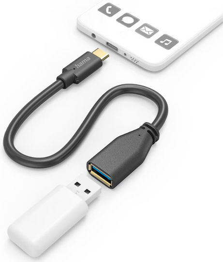 HAMA Конвертор USB-A / USB-C мъжки към USB-A / USB-C женски Черен 1бр 00201605