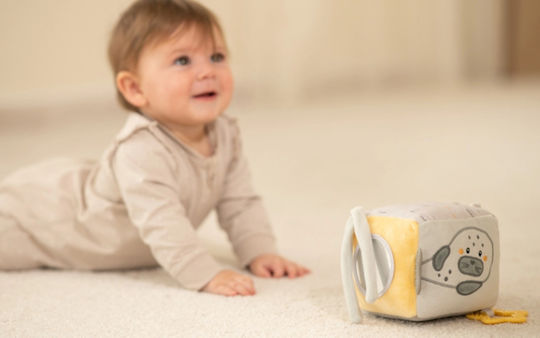 Kikka Boo Activity Cube Seally Me for 0++ Months