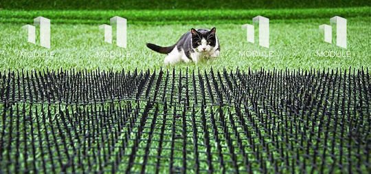Module Set Abwehrspitzen Katzen 122gr 0.38x0.38m