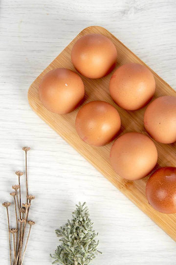 Kinvara Fridge Egg Holder For 12 Eggs 30x11.5x1.6cm