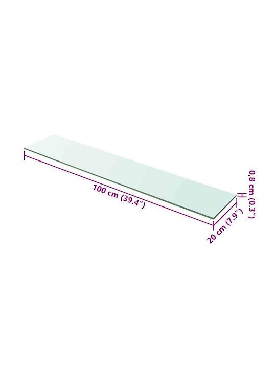 Ράφια Τοίχου Διάφανο (2τμχ) 100x20x0.8εκ.