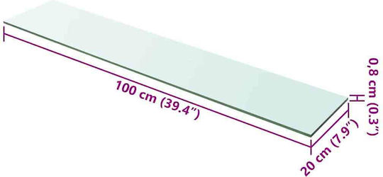 Wall Shelves Transparent 2 Pieces 100x20x0.8 cm