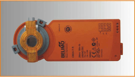 Vigas 80 Boiler Of / Wood 68787kcal/h