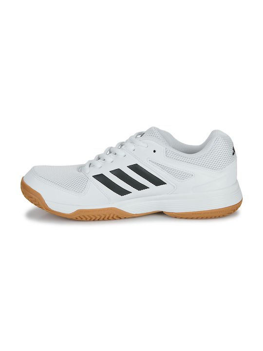 Speedcourt Sport Shoes Volleyball Cloud White / Core Black / Gum