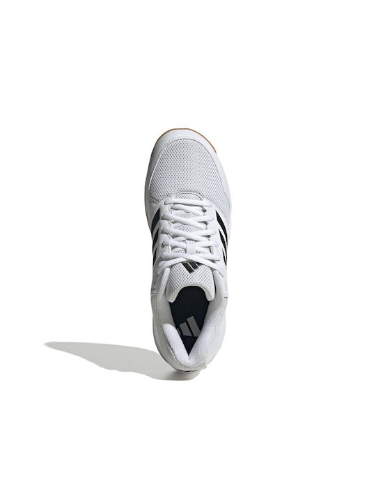 Speedcourt Sport Shoes Volleyball Cloud White / Core Black / Gum