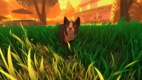 Copycat PS5 Game