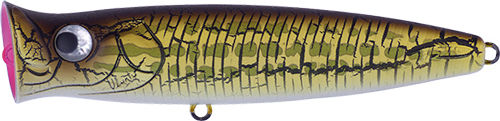 Τεχνητό Fishus Lurenzo Ubuntu Popper 7cm Cds Candy Shrimp