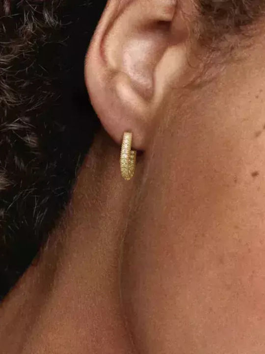 Bode Earrings Hoops made of Silver Gold Plated with Stones