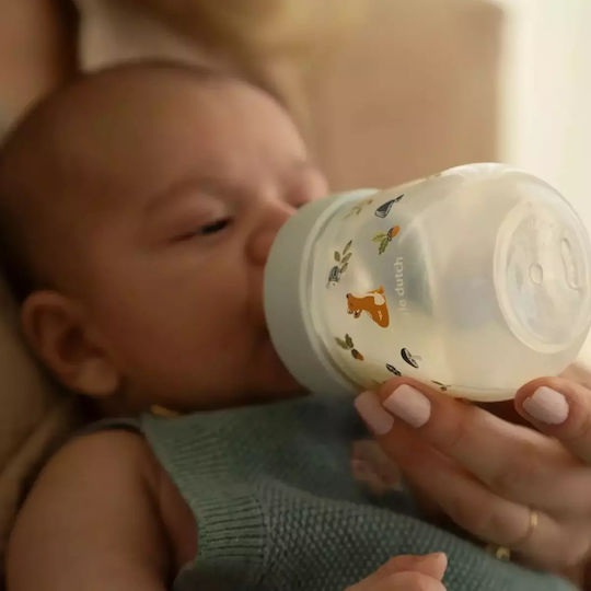 Little Dutch Plastic Baby Bottle Mio Forest Friends Anti-Colic with Silicone Nipple for 0+, 0+ m, months Transparent 165ml