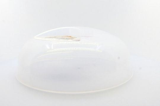 Cyclops Lid for Microwave Oven made of Plastic 30εκ.