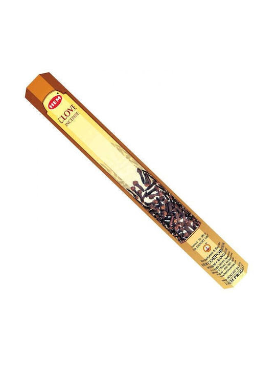 Hem Αρωματικά Sticks με Άρωμα Clove 20τμχ