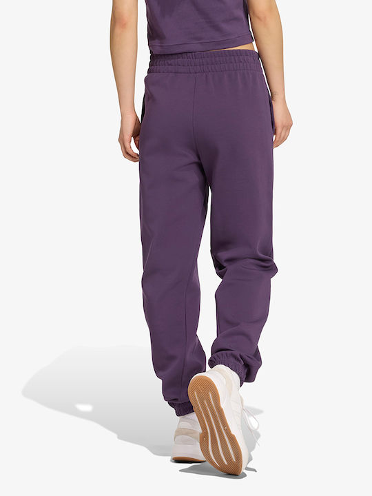 Future Icons Pantaloni de Trening Violet