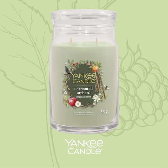 Yankee Candle Aromatic Candle Large in Jar with Perfume Enchanted Orchard 567g