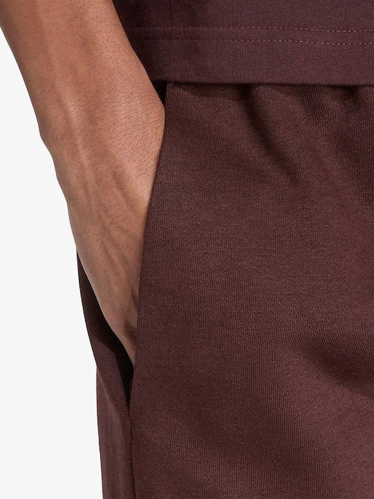 Big Logo Pantaloni de trening Maro