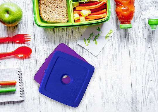 Ice Packs Lunchbox Food Containers