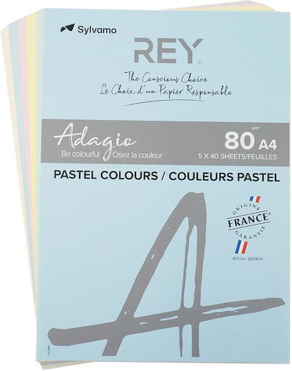 Rey Adagio Printing Paper A4 80gr/m² 40 sheets Multicolour