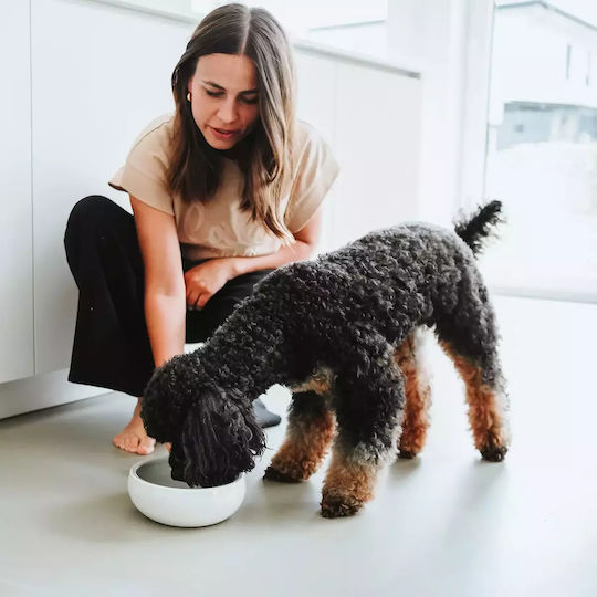 Hunter Ceramic Bowl Food & Water for Dog & Cat with Base 310ml