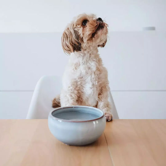 Hunter Ceramic Bowl Food & Water for Dog & Cat with Base 1.5lt