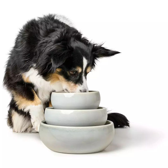 Hunter Ceramic Bowl Food & Water for Dog & Cat with Base 900ml