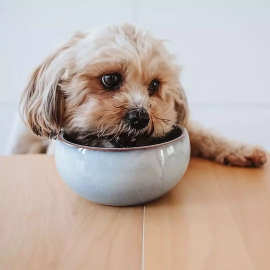Hunter Ceramic Bowl Food & Water for Dog & Cat with Base 1.5lt