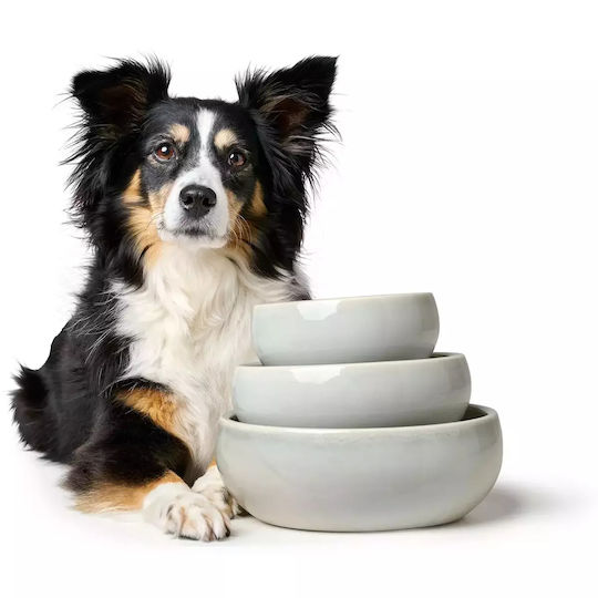 Hunter Ceramic Bowl Food & Water for Dog & Cat with Base 550ml