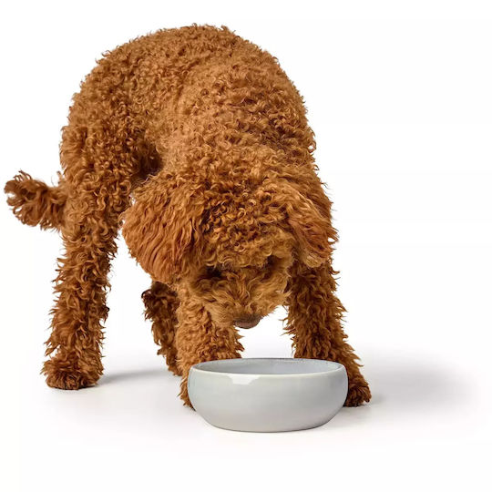 Hunter Ceramic Bowl Food & Water for Dog & Cat with Base 550ml