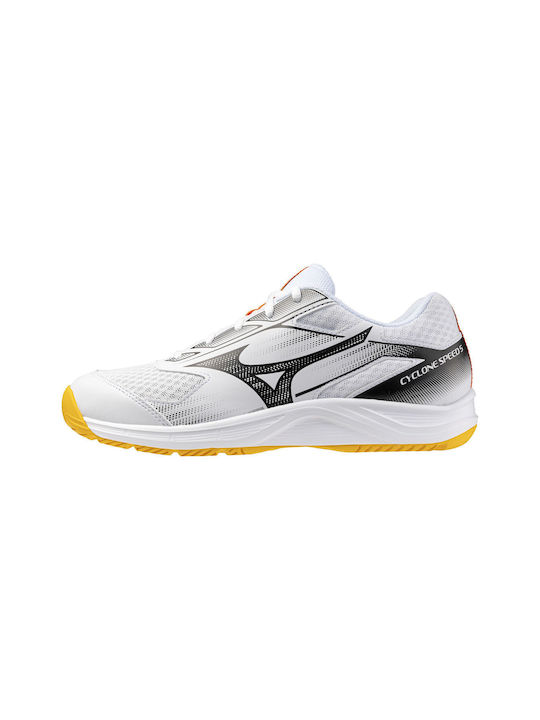 Mizuno