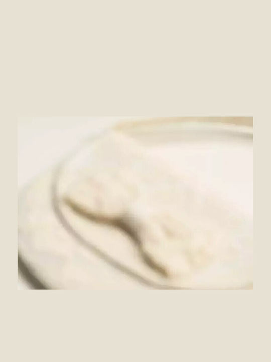 Εβίτα