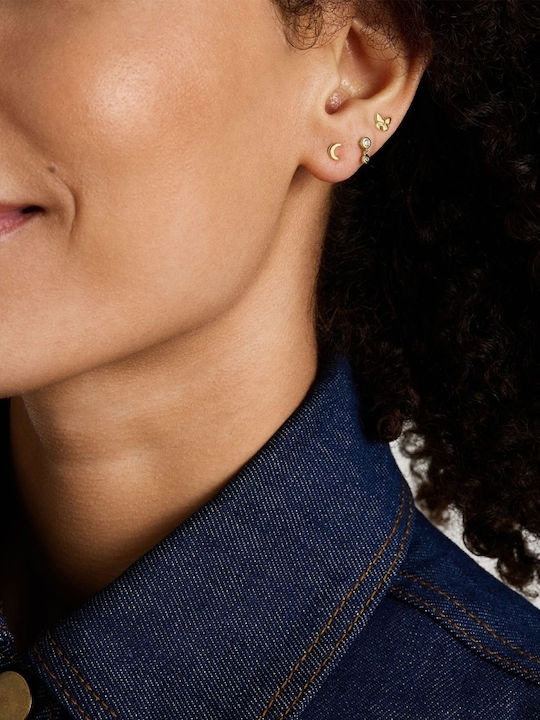 Fossil Set Earrings made of Steel Gold Plated with Stones