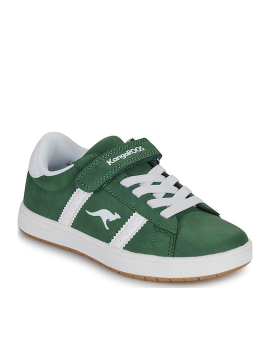 Kangaroos