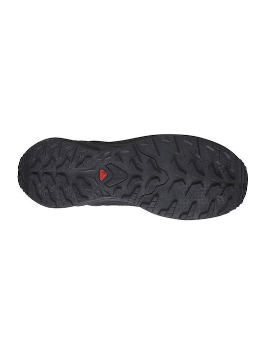 Sport Shoes Trail Running Black