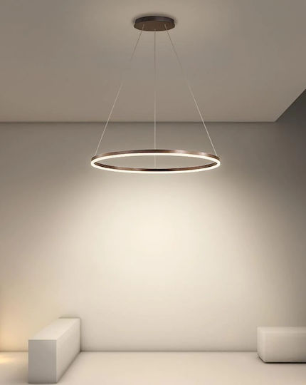 Lightex Caterina Hängelampe Braun 60cm.