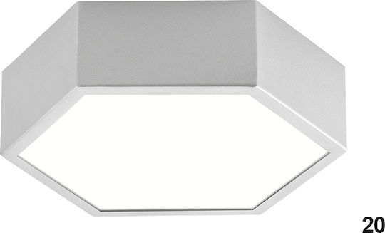 Luma Ceiling Light LED